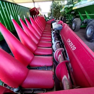 Ombú 16-52 año 2020 Modelo 2020